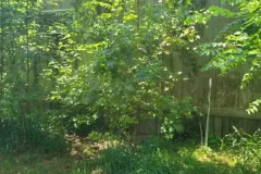 1_Gallery-2