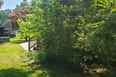 1_Gallery-3