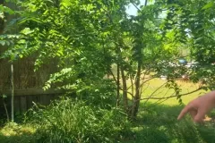 2_Gallery-1